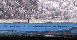 Picture of glass mosaic on wood with text by Walt Whitman: .... And not it seems to me the beautiful uncut hair of graves.